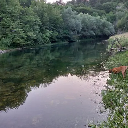 Slavko